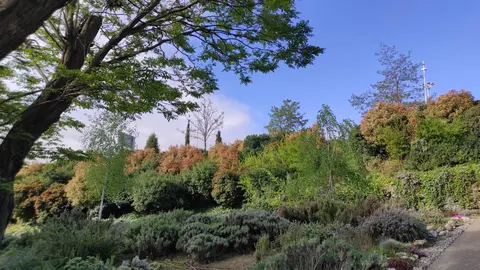Paseos al fresco en la F&aacute;brica de la Luz. Museo de la Energ&iacute;a