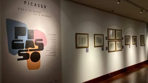 Picasso. Arte e intimidad