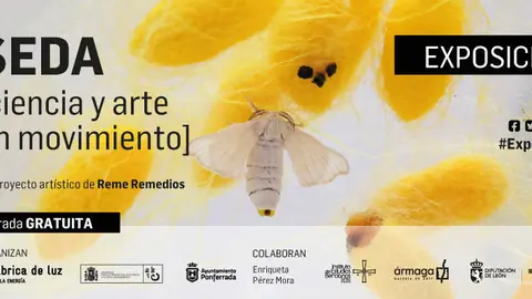 Exposici&oacute;n | SEDA [ciencia y arte en movimiento]