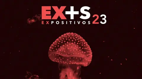 Expositivos 23 Le&oacute;n