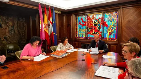 Junta de Gobierno Local Le&oacute;n
