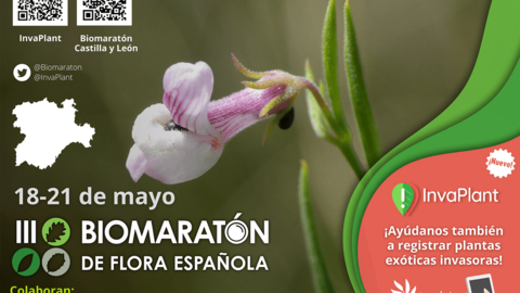 III Biomarat&oacute;n de Flora Espa&ntilde;ola