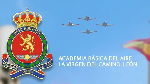 ACADEMIA-BASICA-DEL-AIRE Le&oacute;n