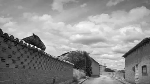 La fotograf&iacute;a titulada "Ansias de galopar" de Leny Pellitero Cabero ha sido la ganadora del premio especial Centenario de la C&aacute;mara de la Propiedad Urbana de Le&oacute;n.
