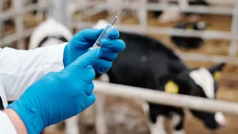 Inmunolog&iacute;a aplicada a la producci&oacute;n
