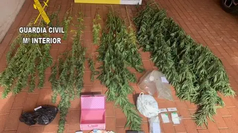 Efectos decomisados Sahag&uacute;n