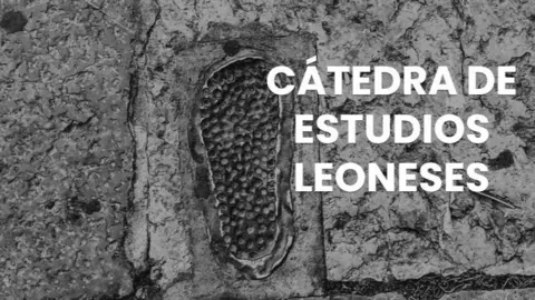 C&aacute;tedra de Estudios Leoneses