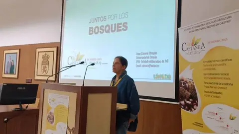 Intervenci&oacute;n de Asunci&oacute;n C&aacute;mara