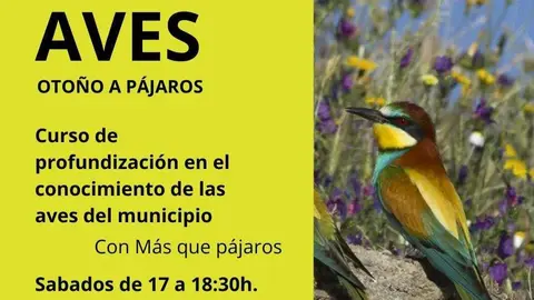AVES. Oto&ntilde;o a p&aacute;jaros que tenemos este s&aacute;bado 25 de noviembre, en el Mihacale de Gordoncillo