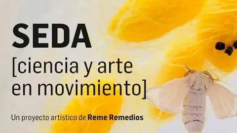 SEDA Reme Remedios Ponferrada