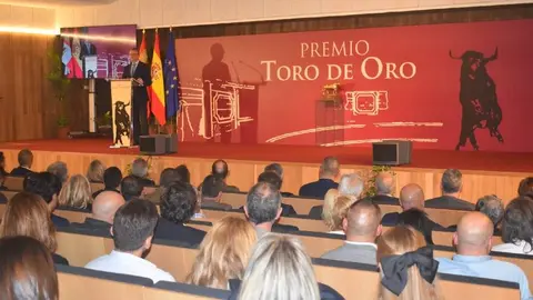 XLVII edici&oacute;n de los premios Toro de Oro