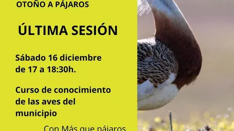 AVES. OTO&Ntilde;O A PAJAROS ULTIMA SESION
