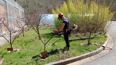 Formaci&oacute;n y empleo especializada en fruticultura para j&oacute;venes, impulsada por CIUDEN Vivero.