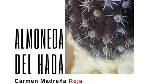 Carmen Madre&ntilde;a Roja