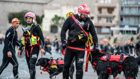 El Grupo de Rescate y Salvamento Canino (GRESCAN) volvi&oacute; a prestar sus servicios en el Infinitri Half Triatlon Pe&ntilde;iscola