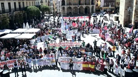 Concentraci&oacute;n Zamora 