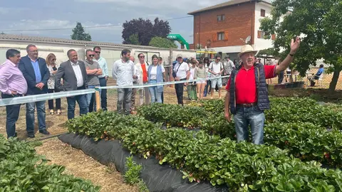 Festival de la Fresa de Almanza