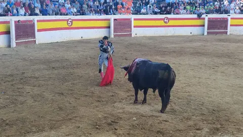 Francisco de Manuel entrando a matar. Feria de Sahag&uacute;n