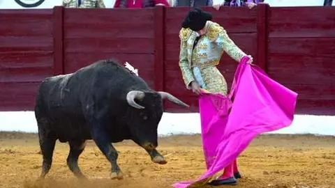 El Mene borda el toreo al natural y corta cuatro orejas en Herrera de Pisuerga.