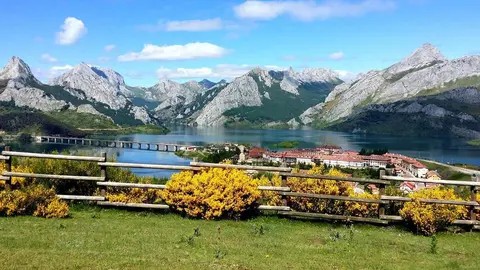 Ria&ntilde;o