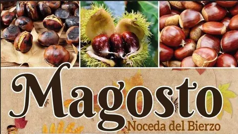 Magosto Noceda del Bierzo