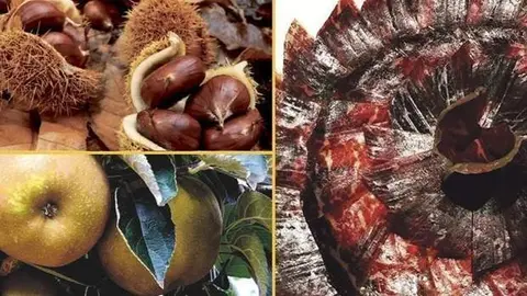 Productos de Le&oacute;n
