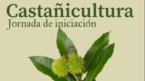 Jornada Casta&ntilde;icultura en Sta Cruz