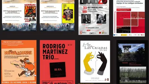 El &Aacute;rea de Actividades Culturales de la Universidad de Le&oacute;n (ULE) ha preparado una variada oferta para esta semana, que abarca cine, literatura, teatro y coloquios.