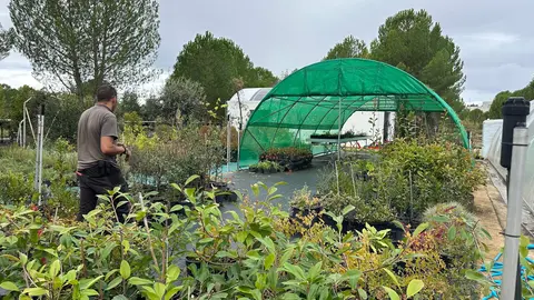 CIUDEN Vivero CIUDEN Vivero abre convocatoria para dos programas de formaci&oacute;n en gesti&oacute;n forestal y jardiner&iacute;a