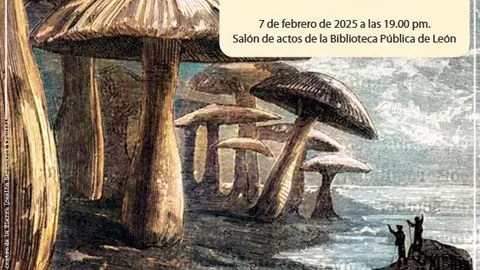 Captura de pantalla 2025-02-03 194810