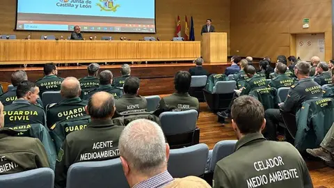 Captura de pantalla 2025-04-06 204908