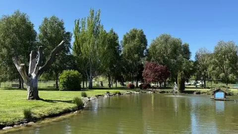 Parque Patos