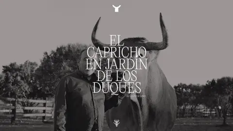 El Capricho de Jos&eacute; Gord&oacute;n llega a Madrid: una experiencia &uacute;nica en el Palacio de los Duques Gran Meli&aacute;.