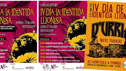 Cartel Dia identida llionesa