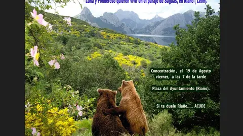 CercadoOsero-Cartel