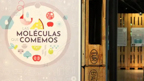 &lsquo;Las mol&eacute;culas que comemos&rsquo;: la nueva exposici&oacute;n del Museo de la Energ&iacute;a que desvela los secretos cient&iacute;ficos de la alimentaci&oacute;n