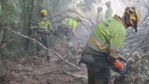Trabajos de aseguramiento de per&iacute;metro tras el incendio Foto de Archivo