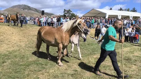 Feria de San Emiliano 2025