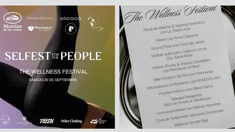 Captura de pantalla 2025-09-10 182449