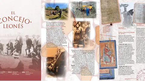 Carpeta Concejo Leon&eacute;s