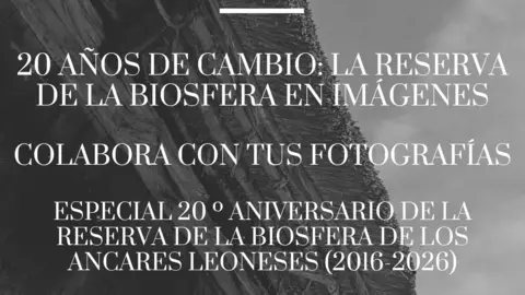 Ancares Leoneses