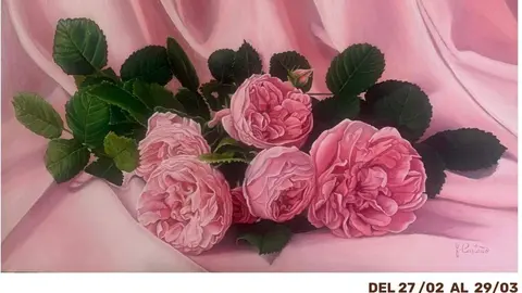 Captura de pantalla 2026-02-26 184633