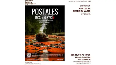 CARTEL POSTALES DESDE EL VAC&Iacute;O copia