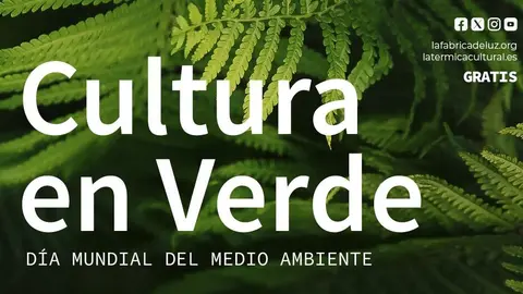 Captura de pantalla 2026-05-22 133519