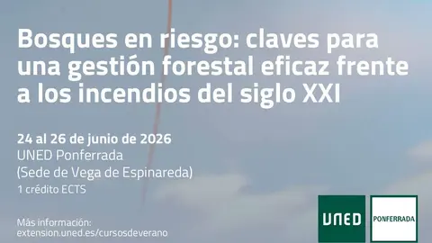 Captura de pantalla 2026-06-11 112058