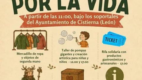 Mercadillo Solidario_30052026