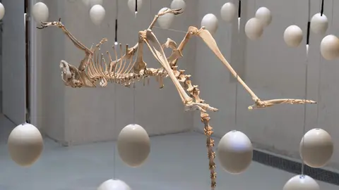 Zoofuturismo, la primera exposición en España de Art Orienté Objet, llega a la Fundación Cerezales Antonino y Cinia