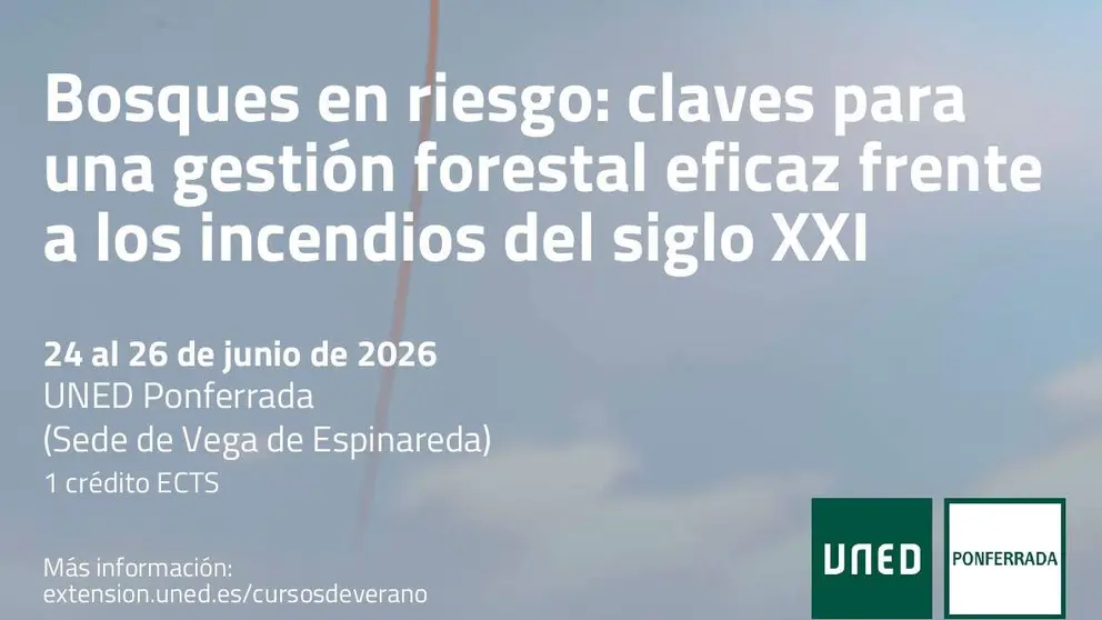 Captura de pantalla 2026-06-11 112058