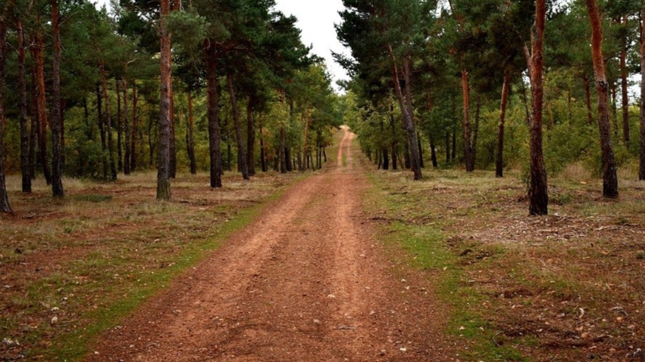 Camino hacia el Mirador del monte de San Isidro. Foto de: Turismo de Observación.