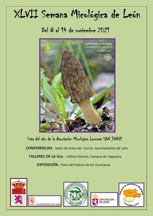 XlVII Semana Micológica de León